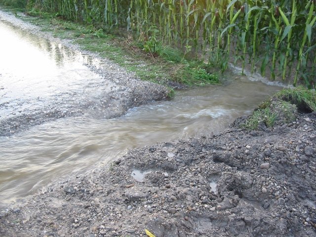 Hochwasser 2010